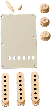 Accessory Kit, Stratocaster�, Aged White