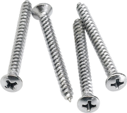 Neck Mounting Screws (4) (Chrome)