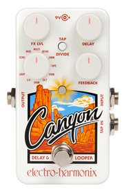 Electro Harmonix Canyon Delay and Looper Pedal