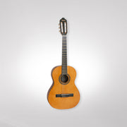 Guitars