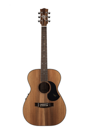 EBW808 Blackwood Acoustic Electric Guitar