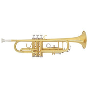 FBW404 B flat Trumpet with abs case