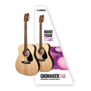 GIGMAKER310 - Acoustic Guitar Pack