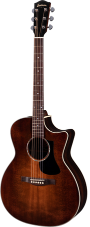 PCH2-GACE Acoustic Guitar