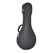Mandolin Case