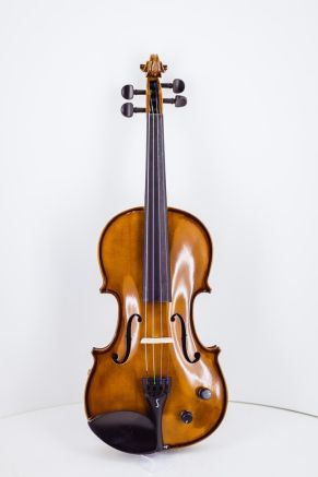 Stentor 4/4 Acoustic / Electric Violin in Antique Chesnut