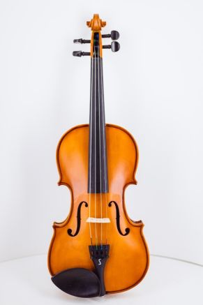 Stentor Student II Violin Outfit 4/4 Satin Full Size (Suits age 12+)