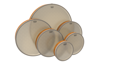 Remo Renaissance 6 piece Frame Drum Set