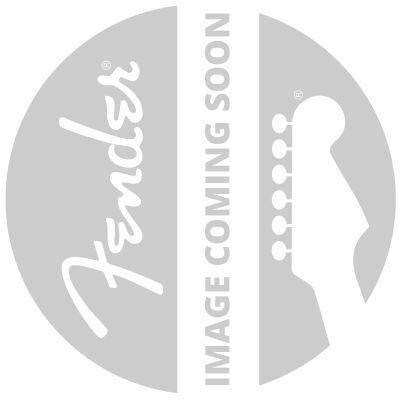 Fender American Professional II Telecaster Deluxe, Rosewood Fingerboard, Mercury