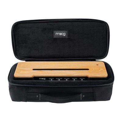 Moog Etherwave Theremin SR Series Case
