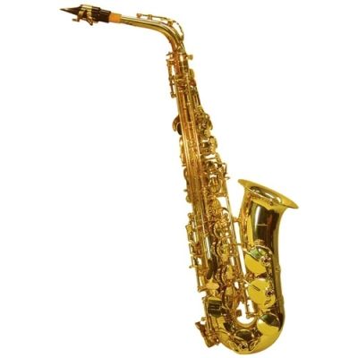 Fontaine Eb Alto Sax in Case