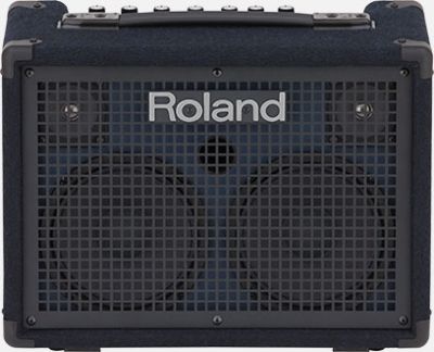 Roland - KC-220 Battery Powered Keyboard Amplifier