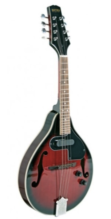 Bryden Electric / Acoustic Mandolin in Bag